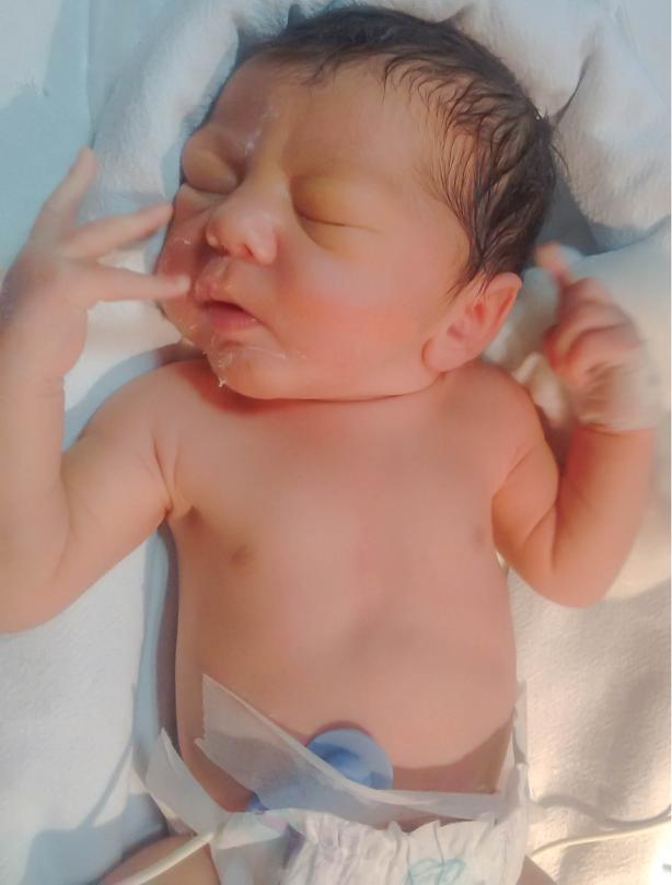 Mid Cue - Rooting Reflex