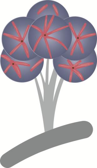 Myoepithelial Cells Around Alveoli