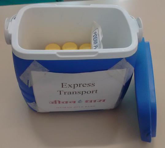Cold Chain Transport Container